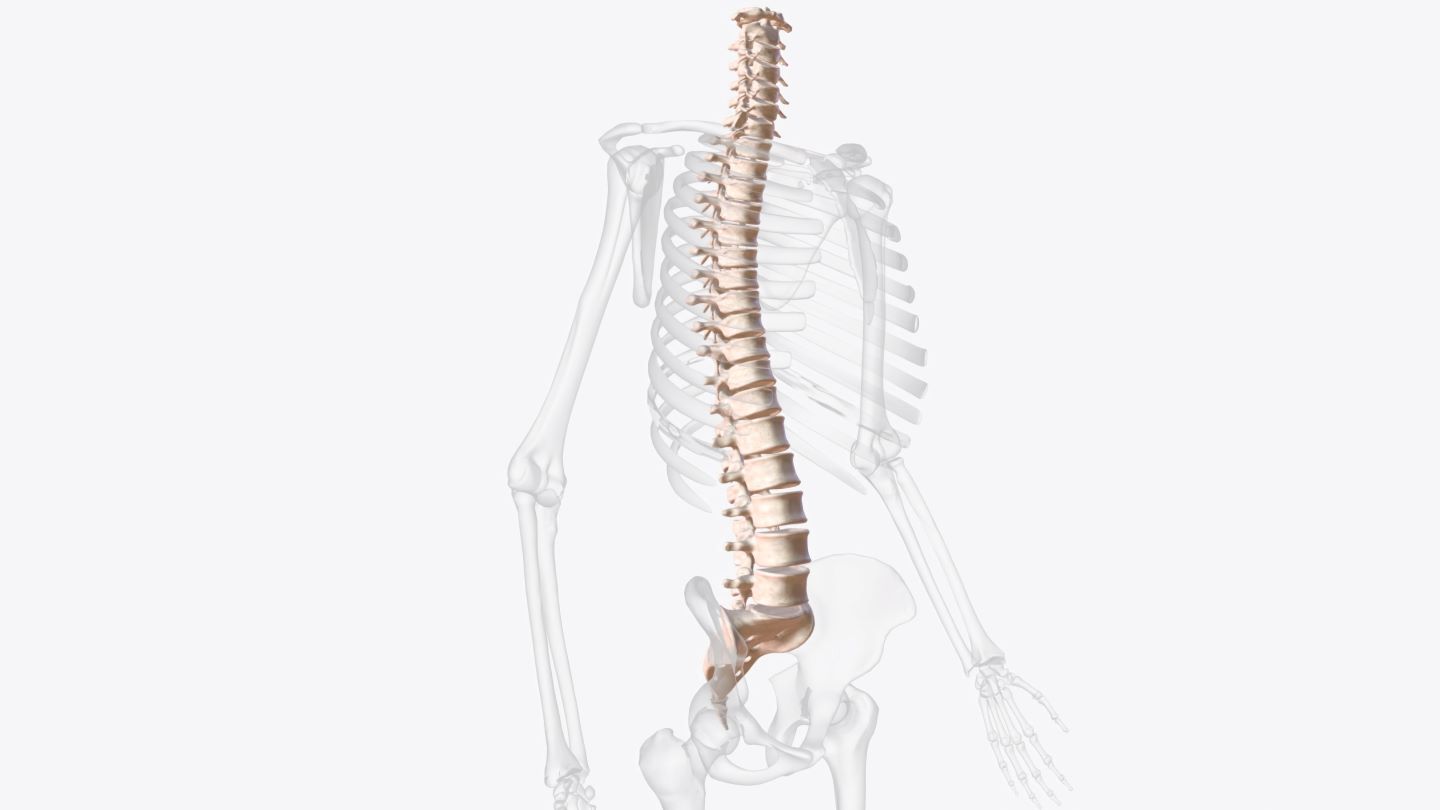 Spinal Treatments in Stamford, CT NYC, New York & Manhattan Spine Care ...